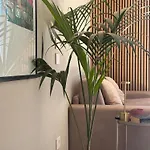 Palazzo Betteloni Apartament *
