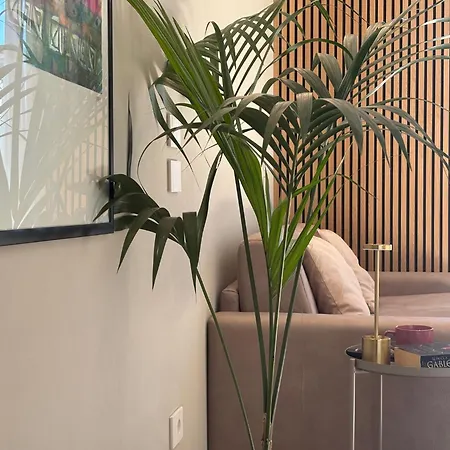 Palazzo Betteloni Apartman *