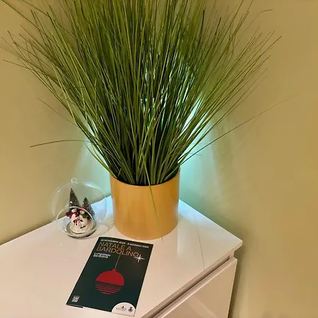 Appartamento Palazzo Betteloni